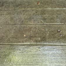 Top-Quality-service-Patio-deep-cleaning-in-Saylorsburg-Pa 8